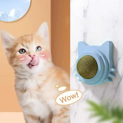 Cat Funny Lickable Snack Teeth Toy