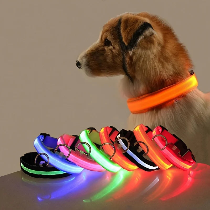 Dog LED Night Safety Flashing Glow Collar