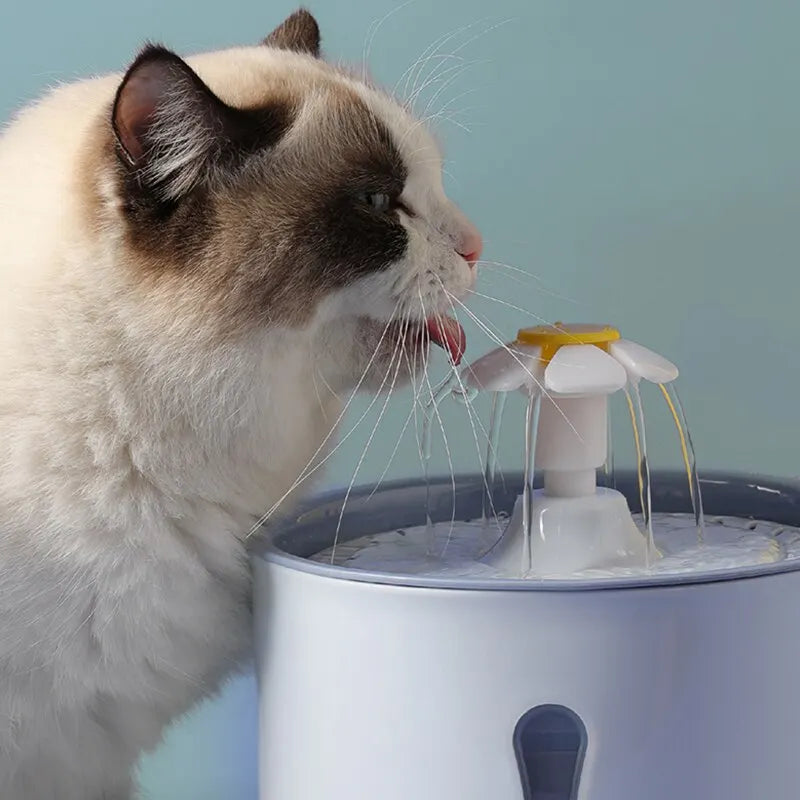 Cat 2.4L Automatic Water Fountain